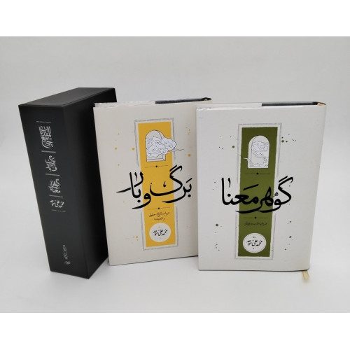 کتاب مجموعه جامع المقدمات (گوهر معنا/برگ و بار)