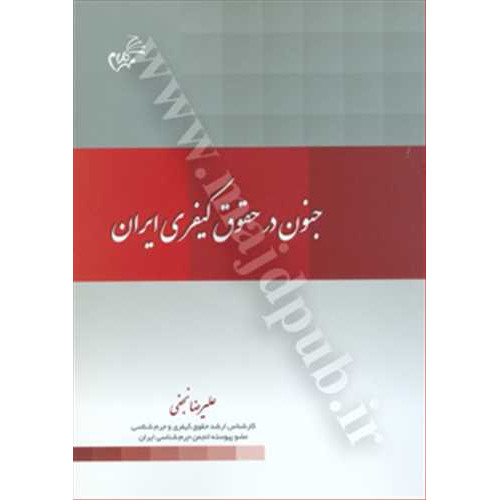 کتاب جنون در حقوق کیفری ایران