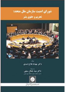کتاب شورای امنیت سازمان ملل متحد، تحریم و حقوق بشر