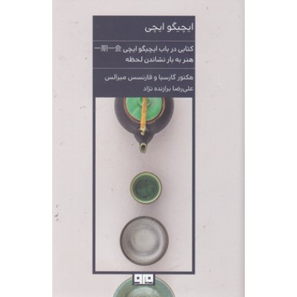 کتاب ایچیگو ایچی