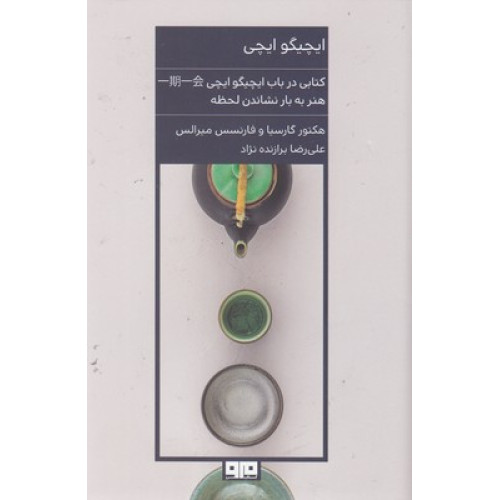 کتاب ایچیگو ایچی