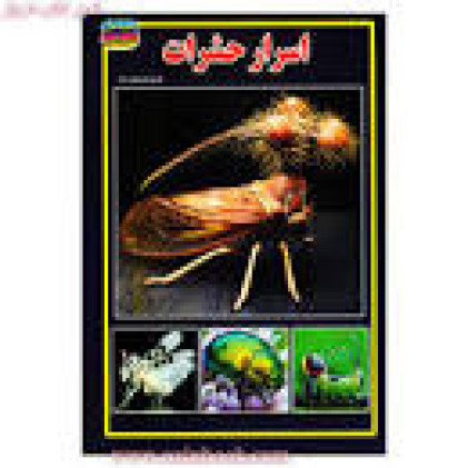 کتاب اسرار حشرات