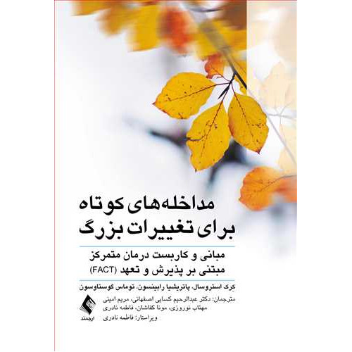 کتاب مداخله‌های کوتاه برای تغییرات بزرگ