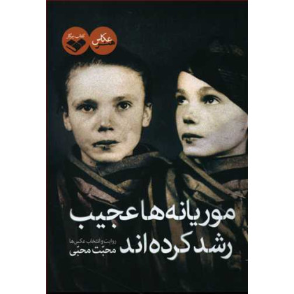کتاب موریانه ها عجیب رشد کرده اند