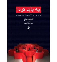 کتاب چه باید کرد؟