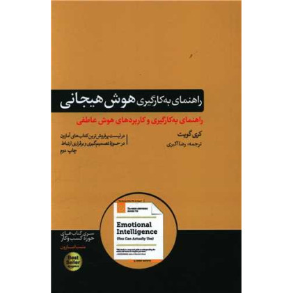 کتاب راهنمای به کارگیری هوش هیجانی
