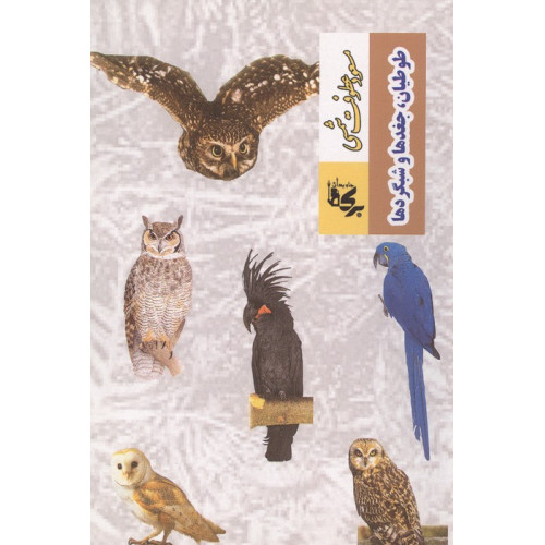 کتاب طوطیان،جغدها و شبگردها
