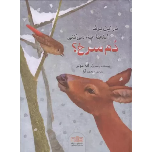 کتاب در این برف اینجا چه می کنی دم سرخ؟
