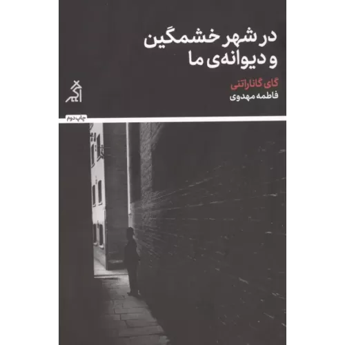 کتاب در شهر خشمگین و دیوانه ی ما