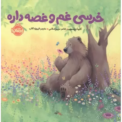 کتاب خرسی غم و غصه داره