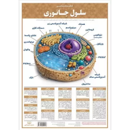 کتاب پوستر وایت بردی سلول جانوری