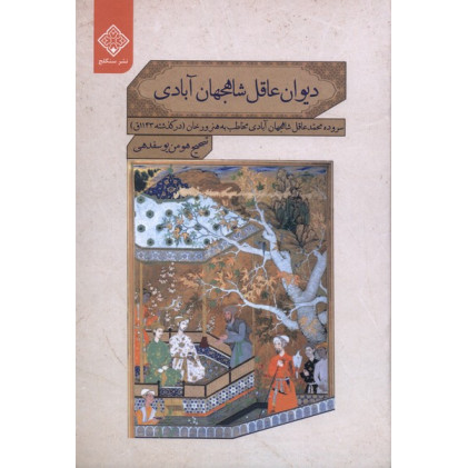 کتاب دیوان عاقل شاهجهان آبادی(سنگلج)