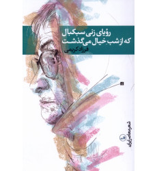 کتاب رویای زنی سبکبال که از شب خیال می‌گذشت