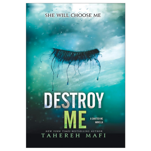 کتاب Destroy Me