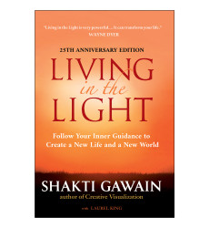 کتاب Living in the Light کتاب Living in the Light